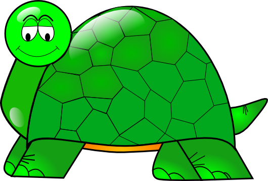 iammisc_Turtle