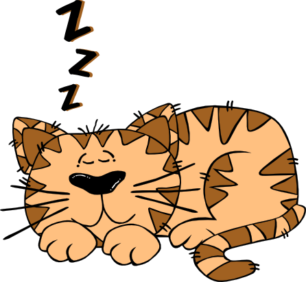 Gerald_G_Cartoon_Cat_Sleeping