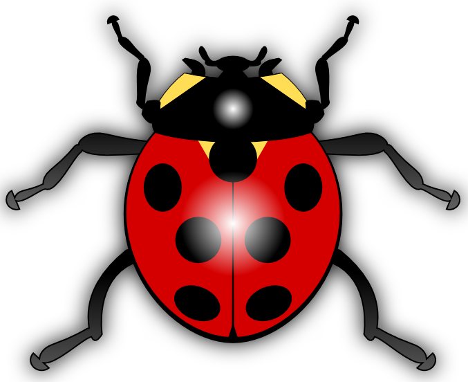 jilagan_Ladybug