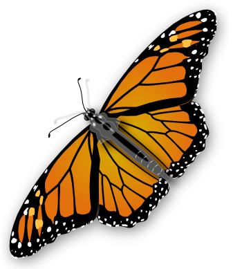 jimmiet_Monarch_Butterfly
