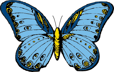 johnny_automatic_butterfly_1