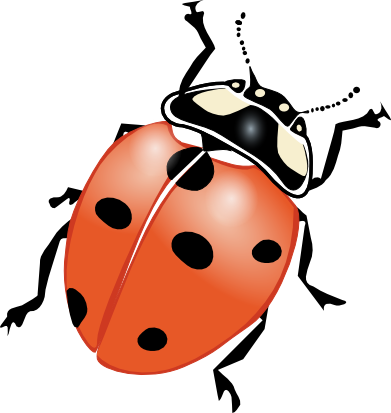 mekonee_29_ladybug_1