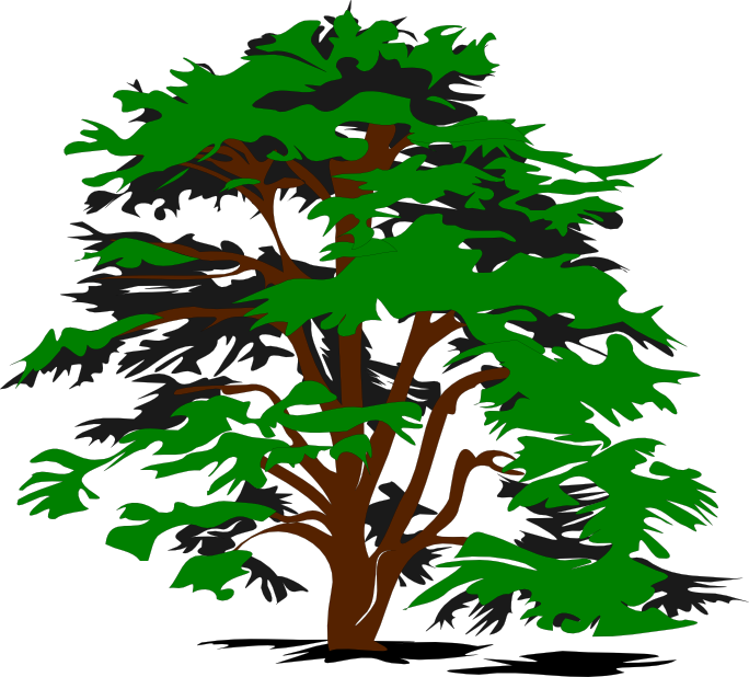 bobocal_simple_vector_tree