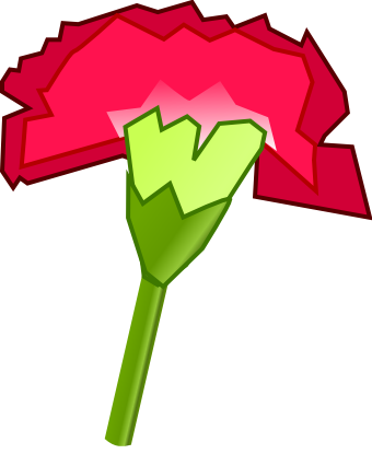 bsantos_Cravo_Carnation