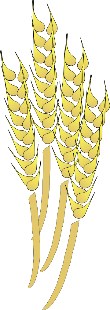 davosmith_Wheat