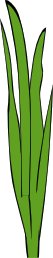 eady_Grass_Blades_and_Clumps_1