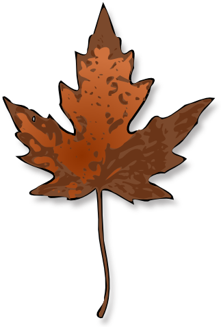 jimmiet_Maple_Leaf