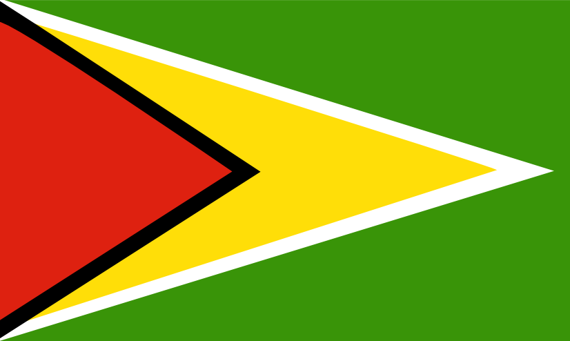 Anonymous_Flag_of_Guyana