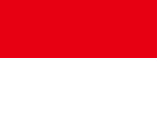 Anonymous_Flag_of_Indonesia