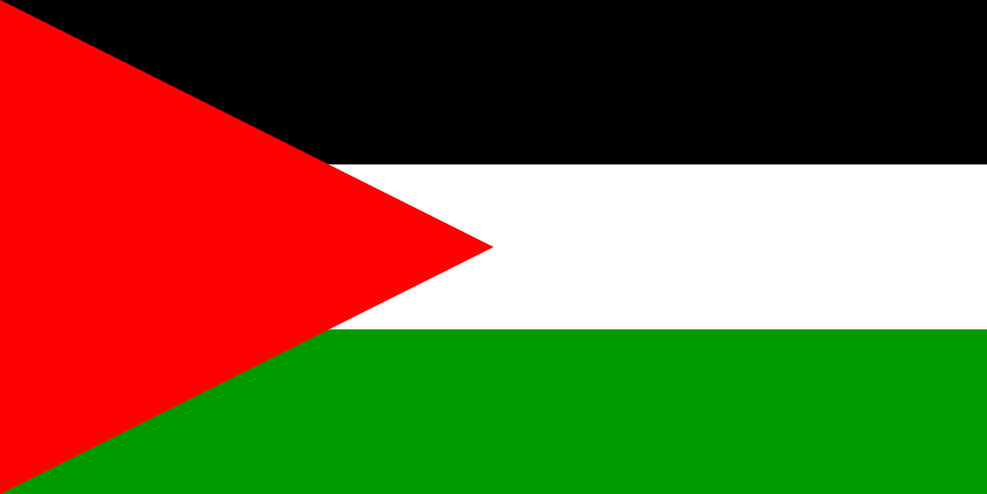 Anonymous_Flag_of_Palestine