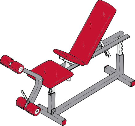 johnny_automatic_exercise_bench