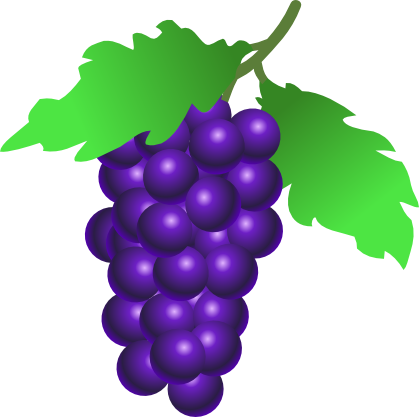 stuuf_grapes
